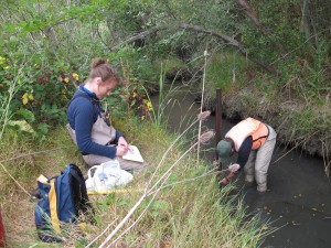 Wildcat Creek - HOT zone Credit SFEI