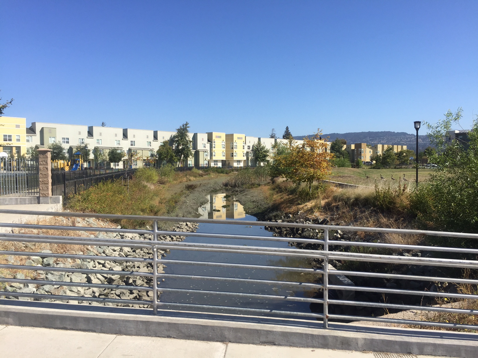 OAKALA-Lion Cr View east Vegetated Channel +2ft Tide « Adapting to ...